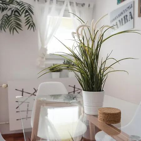 Apartmán Samba Vratislav